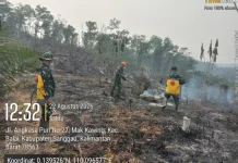 Dandim dan Kapolres Sambas Turun Padamkan Karhutla