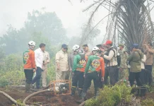 Presiden Prabowo Tinjau Penanganan Karhutla di Kalbar