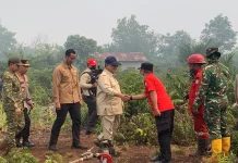 Presiden Prabowo Tinjau Karhutla di Kubu Raya, Penanganan Diperkuat