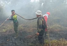 DPRD Kalbar Minta Kepala Daerah Fokus Tangani Karhutla