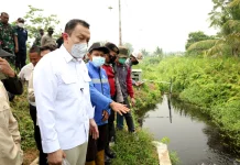 Wamen LH Minta Perusahaan Bangun Sekat Kanal Tangani Karhutla di Kalbar