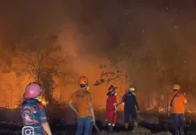 Semangkuk Bakso di tengah Kepungan Karhutla