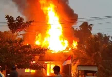 Bakar Sarang Tawon, Rumah dan Dua Motor Ludes Terbakar