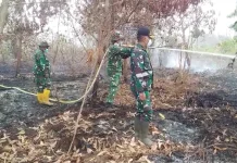 Koramil Pontianak Selatan Padamkan Karhutla di Paris Dua Ujung, Api Masuk Gambut