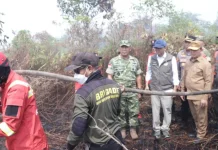 Menteri Kehutanan Tinjau Karhutla di Kalbar, Hotspot Turun Jadi 28 Titik