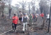 Karhutla Kalbar, Menhut Ancam Cabut Izin Konsesi yang Melanggar