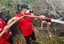 Tiga Minggu Hadapi Karhutla, Kemenhut Perkuat Manggala Agni