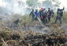 Tim Gabungan Berjibaku Padamkan Karhutla di Akses Jalan Bandara Singkawang