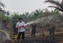 Sinergi Pemadaman Api Pemerintah Kecamatan serta Masyarakat Kuala Mandor B