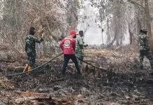 Pegawai KemenHAM Kalbar Turun Langsung Bantu Padamkan Karhutla Bersama TNI