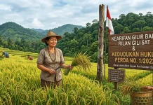 Kearifan Gilir Balik & Kedudukan Hukum Perda No. 1/2022