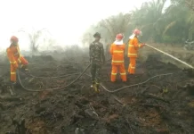 Respon Cepat PT SUM Tekan Karhutla di Batu Mak Jage, Api Tak Meluas ke Perkebunan