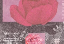 Lyfyenta Hadirkan “Red Over Roses”, Perpaduan Indie Rock dan Midwest Emo
