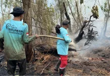 Relawan TAJAM Fokus Pendinginan Karhutla dan Bantu Warga Desa Limbung