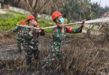 Koramil Kapuas Padamkan Dua Titik Karhutla di Sanggau