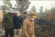 Gubernur Kalbar Tinjau Karhutla Parit Haji Muksin, Ingatkan Warga tak Bakar Lahan