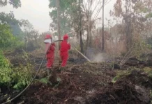 Cegah Api Merambah ke Konsesi, Tim Damkar PT SUM Siaga 12 Hari di Lokasi Karhutla