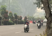 Kabut Asap Makin Meluas, AMAN Kalbar Dorong Percepatan Status Bencana