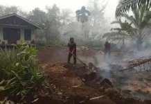 Karhutla Ancam Rumah Warga, Tim Gabungan Bergerak Cepat