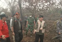 Tinjau Karhutla Kubu Raya, BNPB Tekankan Pentingnya Pemadaman Tuntas