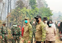 Kawal Karhutla, Bupati dan Dandim Ketapang Turun ke Lapangan