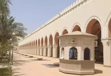 Makna Masjid Bir Ali