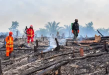 Koramil Sekadau Hilir Padamkan Karhutla di Engkersik