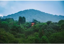 Manfaat Menjaga dan Mengelola Hutan Tradisi Leluhur