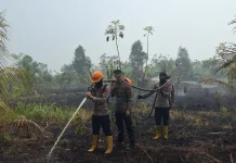 45 Hotspot Terdeteksi di Kabupaten Sambas