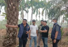 Polisi Cek Lahan Karhutla usai Isu Ditanami Sawit Beredar