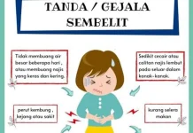 Penyebab Sembelit dan Pentingnya Menjaga Pencernaan Sehat