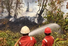 PT Mayawana Persada dan Mitra Padamkan Titik Api di Zona Penyangga