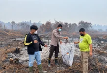 Polres Mempawah Dalami Video Viral Pembakaran Lahan oleh Anggota DPRD