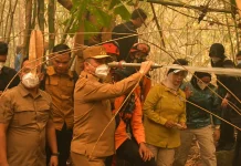 Bupati Kayong Utara Dampingi Gubernur Kalbar Tinjau Karhutla Bukit Peramas