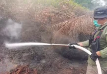 Satgas Darat Terpadu Terjunkan Ratusan Personel Padamkan Karhutla di 4 Kabupaten