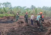 Koramil Tebas Pantau Bekas Karhutla dan Salurkan Sembako