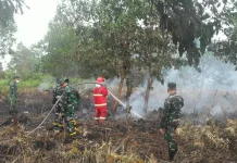 Kodim 1202/Singkawang Padamkan Karhutla di Lahan Gambut Sedau
