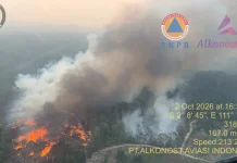 Satgas Udara Kerahkan Dua Heli WB Padamkan Karhutla 9 Lokasi di Kabupaten Ketapang
