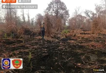 Satpol PP Kalbar Temukan 13 Hektare Lahan Bekas Terbakar di Desa Sungai Malaya