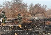 Kodam XII/Tanjungpura Berhasil Padamkan 36 Hektare Lahan Terbakar di 3 Kabupaten