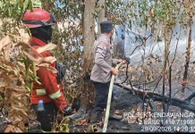 Polda Kalbar Berhasil Padamkan 43 Hektare Lahan Terbakar di Sambas dan Ketapang