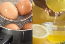 Air Hangat Campuran Jeruk Lemon dan dua  Butir Telur