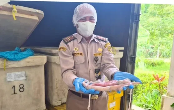 Cumi-Cumi Kalbar Mendunia, Catatan Positif Realisasi Ekspor di Pintu Batas