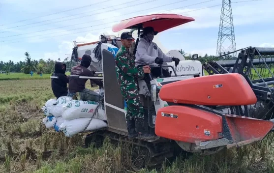 TNI Bantu Modernisasi Panen Padi Petani di Singkawang