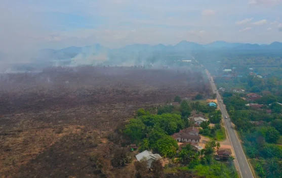 WALHI Rilis Lebih dari 5000 Titik Api Muncul di Gambut Meaki Masih Musim Hujan, Awal 2