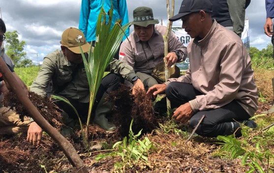 Menyulap Lahan Bekas Terbakar Jadi Pusat Agroforestry