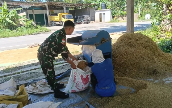 Babinsa Koramil 01/Sambas Wujudkan Ketahanan Pangan Bersama Petani