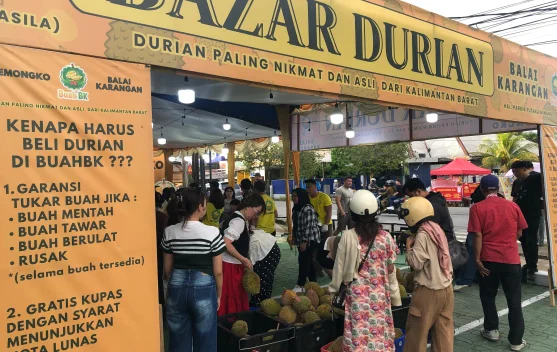 Lapak Buah BK Pontianak Hadirkan Durian Terbaik Kalbar