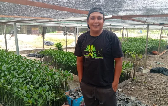 Pokdarwis MMP Rehabilitasi Mangrove Membentuk Daratan menuju Pulau Penibung