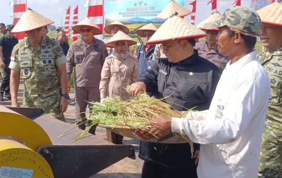 Panen Raya TNI di Kubu Raya, Wujud Sinergi Membangun Ketahanan Pangan